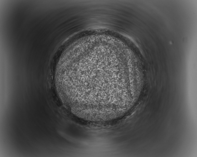 X0000087740871200705291011