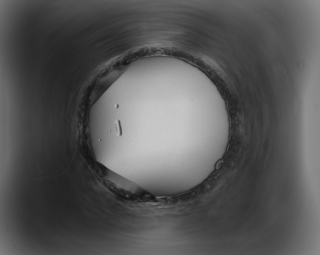 X0000087740872200705291011