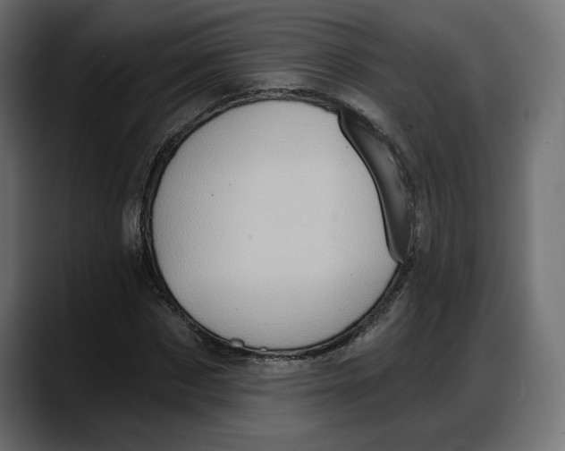 X0000087740873200705291011