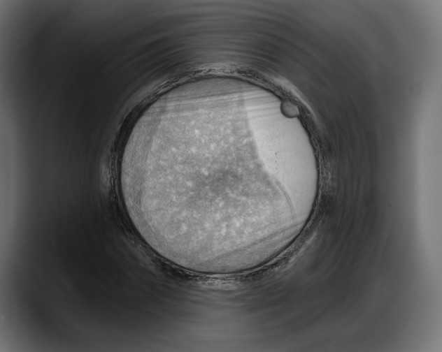 X0000087740874200705291011