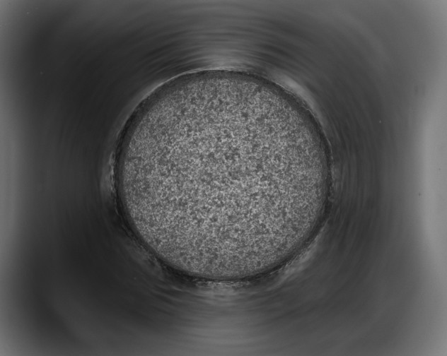 X0000087740875200705291011