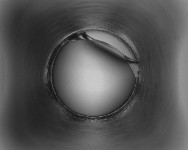 X0000087740876200705291011