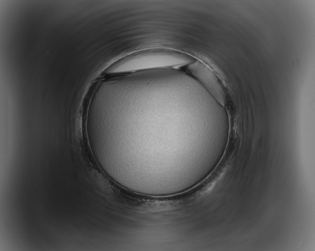 X0000087740877200705291011