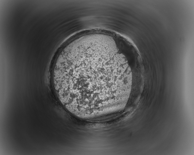 X0000087740879200705291011