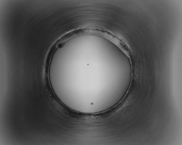 X0000087740880200705291011