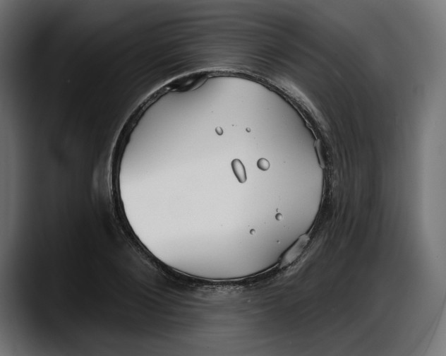X0000087740884200705291011