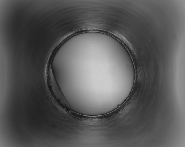 X0000087740885200705291011
