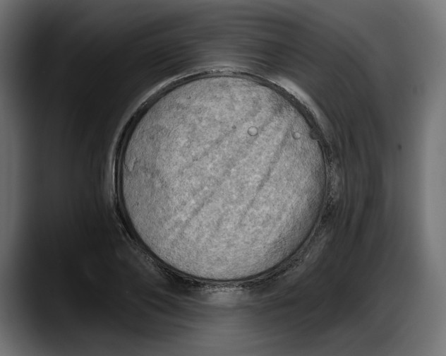 X0000087740886200705291010