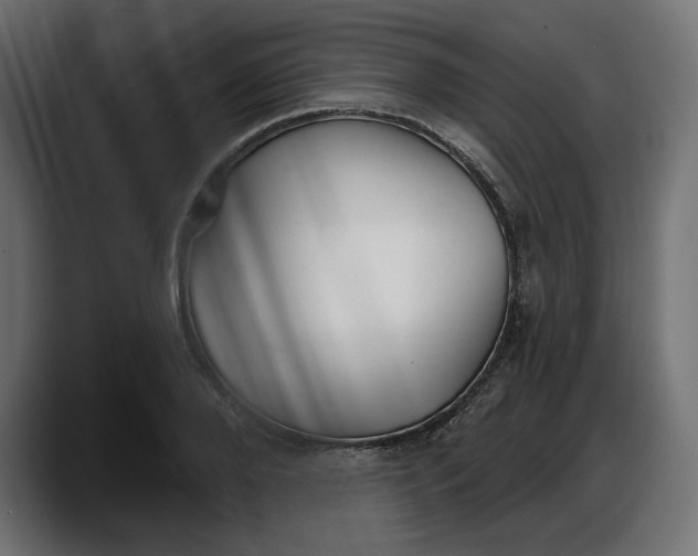 X0000087740888200705291010