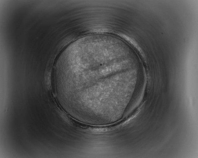 X0000087740889200705291010