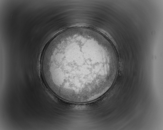 X0000087740890200705291010