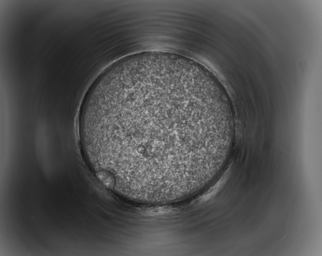 X0000087740891200705291010