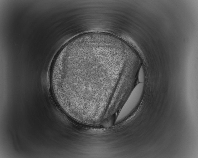 X0000087740892200705291010