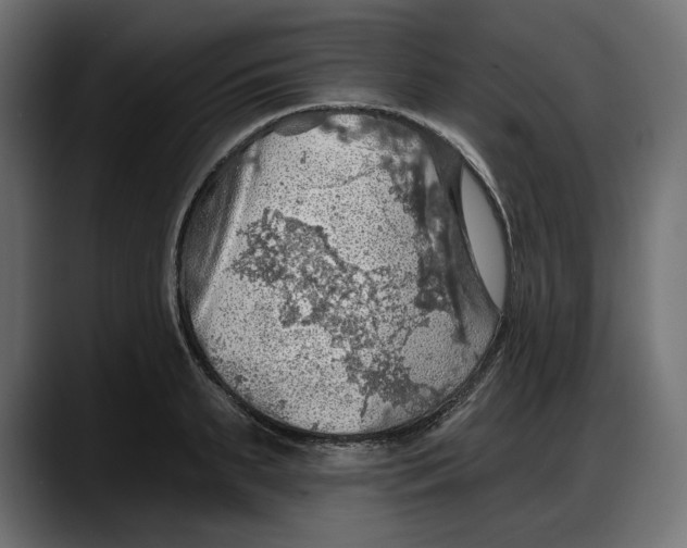X0000087740895200705291010
