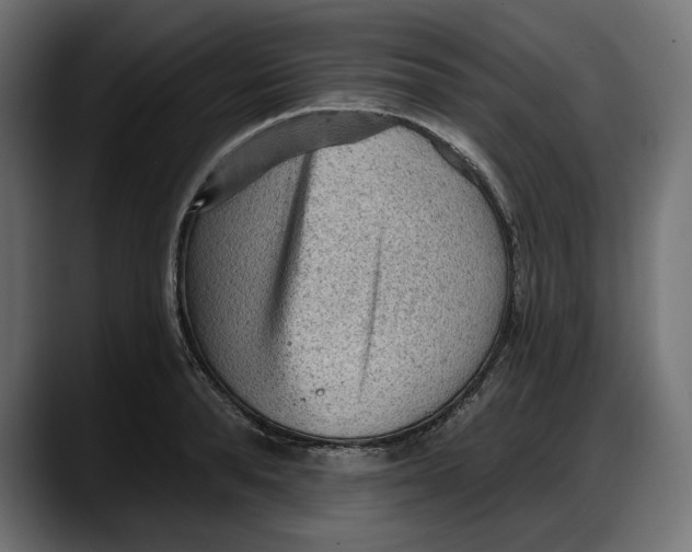 X0000087740896200705291010