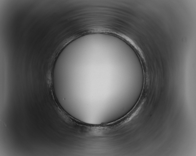 X0000087740897200705291010