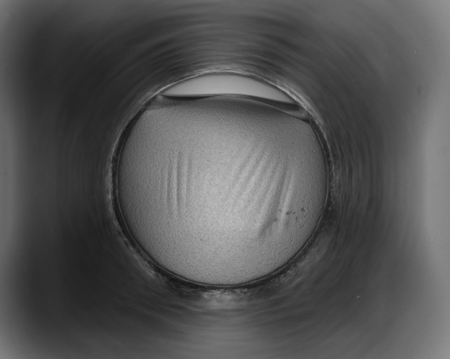 X0000087740898200705291010