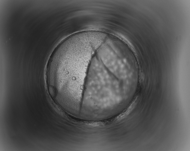 X0000087740899200705291010