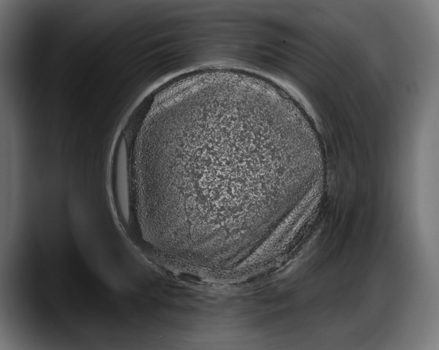 X0000087740903200705291010