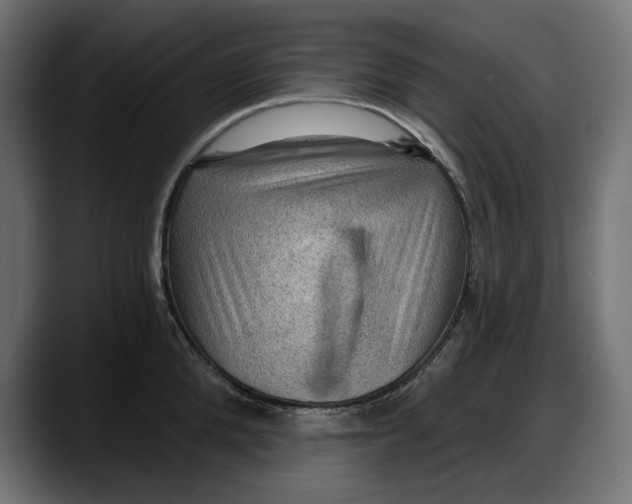 X0000087740904200705291010