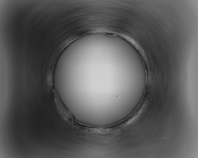 X0000087740905200705291010