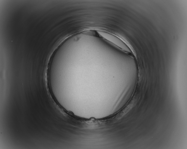 X0000087740906200705291010
