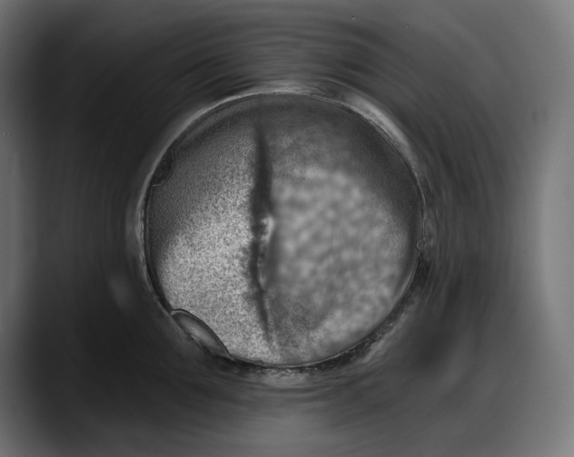 X0000087740907200705291010