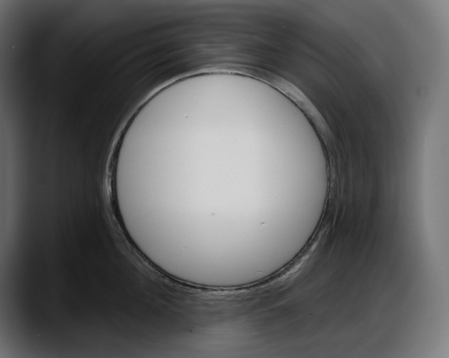 X0000087740908200705291010