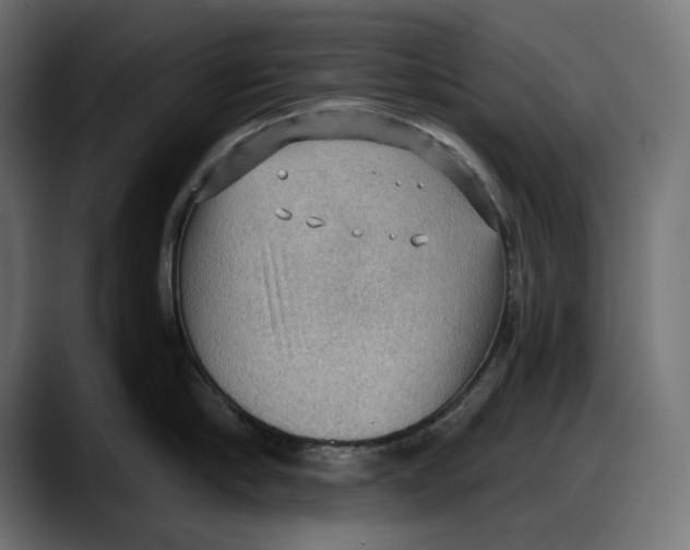 X0000087740910200705291010
