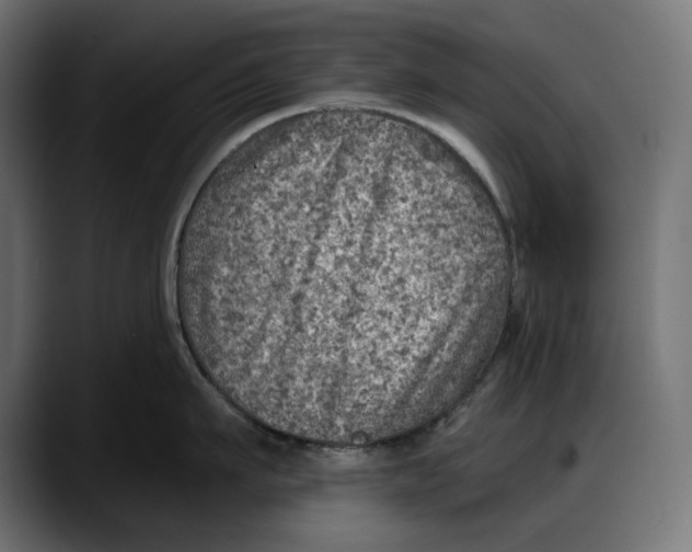 X0000087740911200705291010