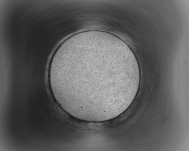 X0000087740912200705291010