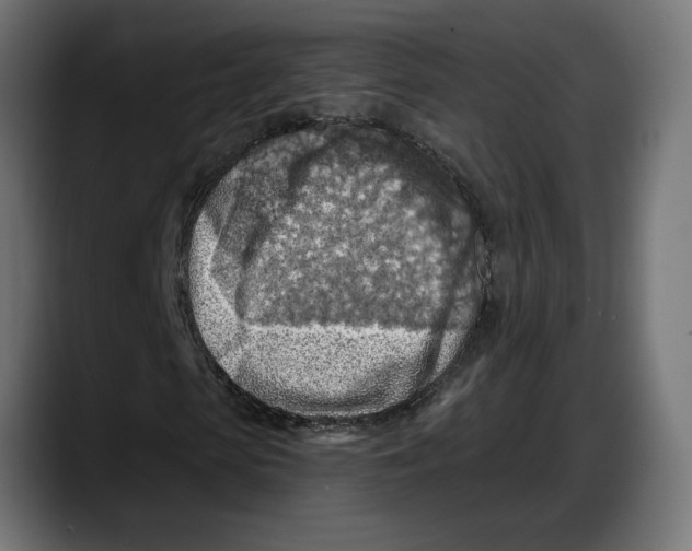 X0000087740913200705291010