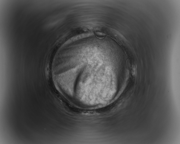 X0000087740915200705291010