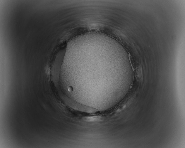 X0000087740916200705291010