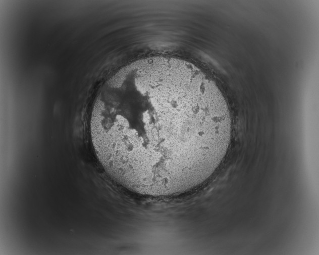 X0000087740917200705291010
