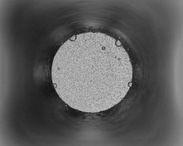 X0000087740918200705291010