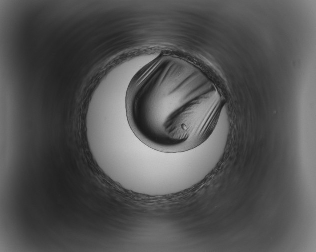 X0000087740920200705291010