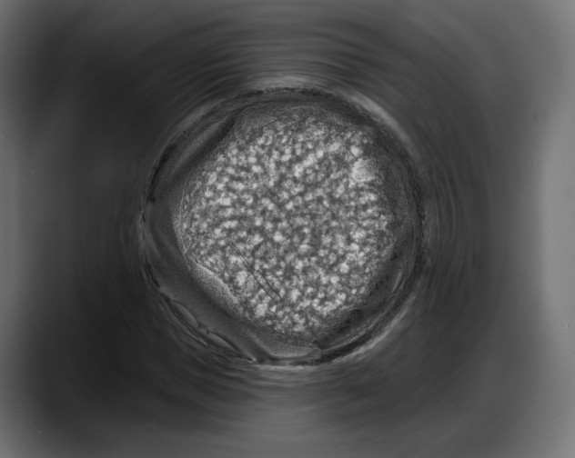 X0000087740921200705291010