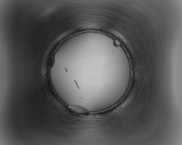 X0000087740922200705291010