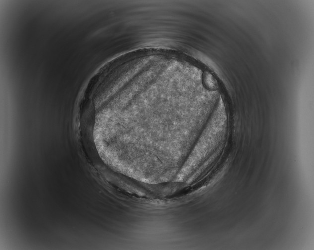 X0000087740923200705291010