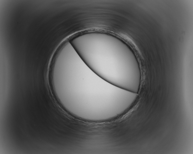 X0000087740924200705291010