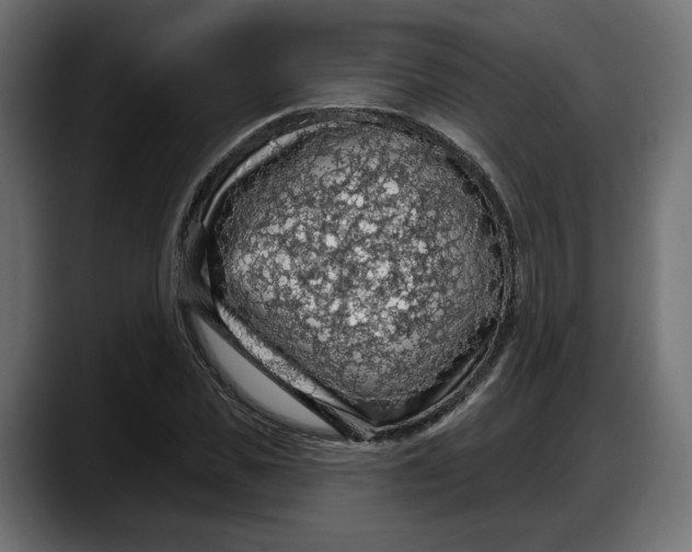 X0000087740925200705291010