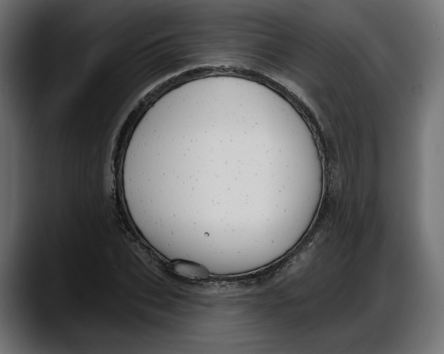 X0000087740927200705291010