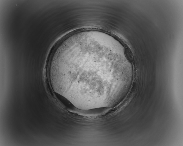 X0000087740928200705291010