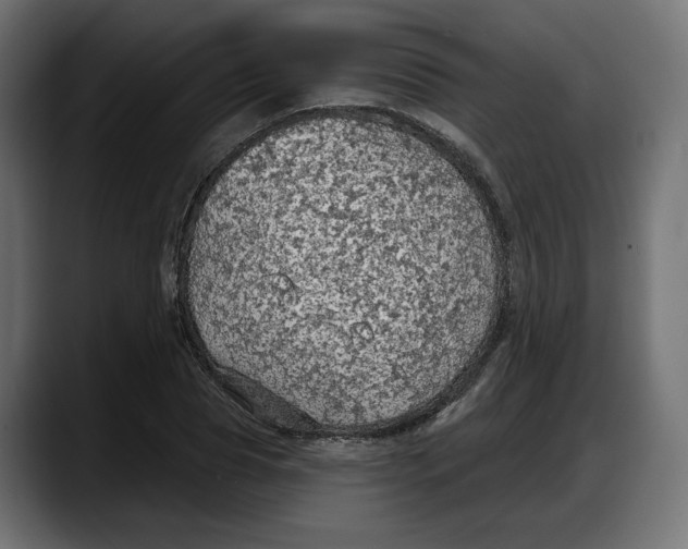 X0000087740929200705291010