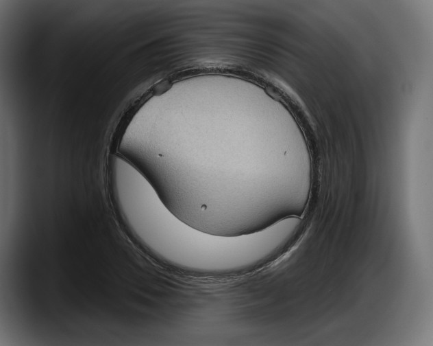 X0000087740930200705291010