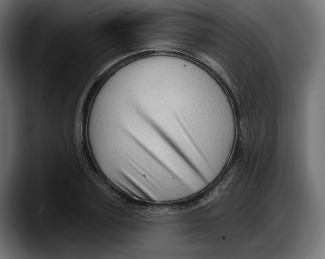 X0000087740931200705291010