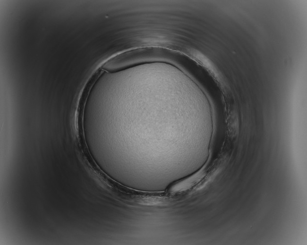 X0000087740932200705291010