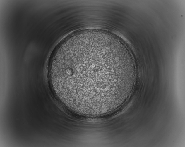 X0000087740933200705291010