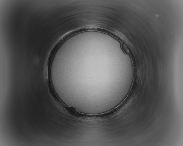 X0000087740934200705291010